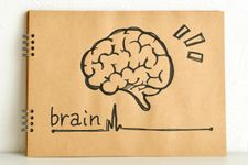 何歳になっても能力を伸ばしたい人が知っておくべき「脳の8つの番地」（＊画像はイメージです）