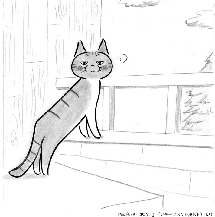 インスタで話題 心がほっこり 猫との暮らし つづるイラストエッセイ 猫がいるしあわせ J Cast Bookウォッチ