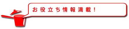 お役立ち情報満載!