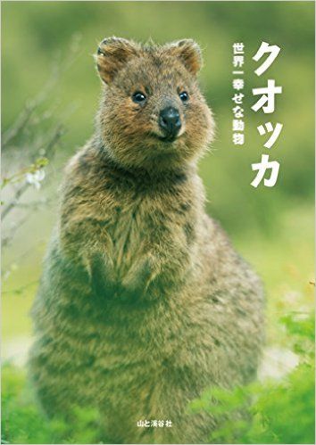 これはリアル ピカチュウ か 笑顔を浮かべる動物 クオッカ が可愛い ガジェット通信 Getnews